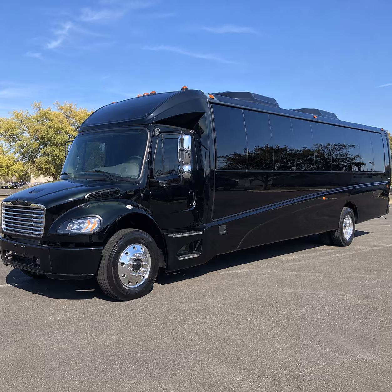 kissimmee 18 passenger minibus