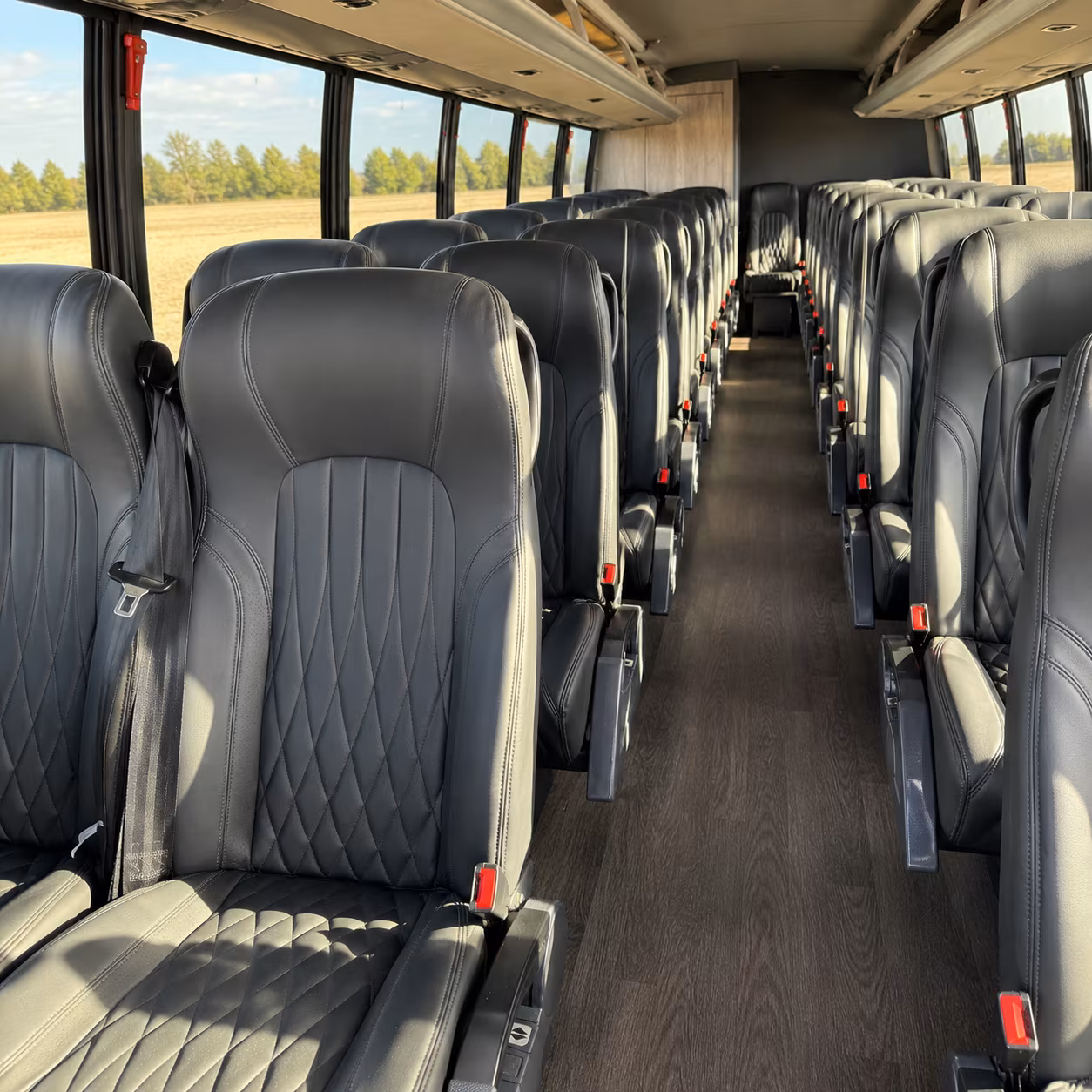 kissimmee 28 passenger minibus interior